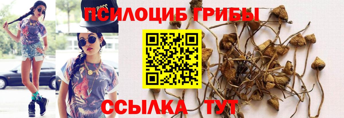 Галлюциногенные грибы прущие грибы  Вход с VPN  Петропавловск-Камчатский 